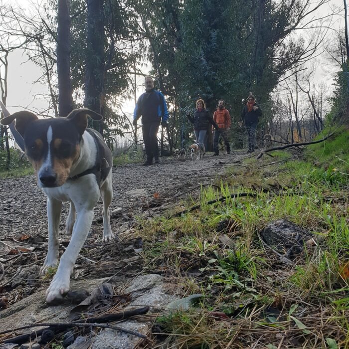 rutas-socializacion-01