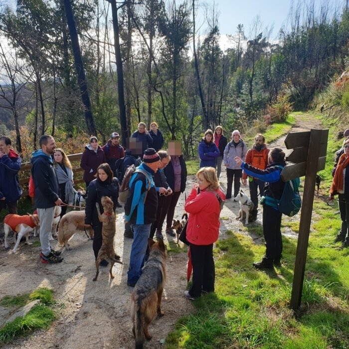 rutas-socializacion-02