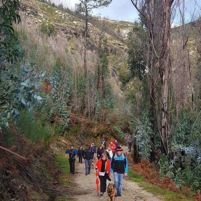 rutas-socializacion-04