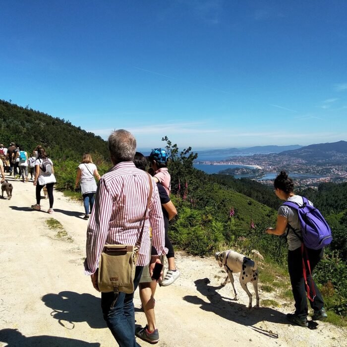 rutas-socializacion-05