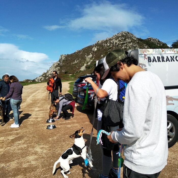 rutas-socializacion-08