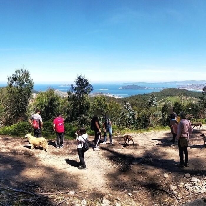 rutas-socializacion-10